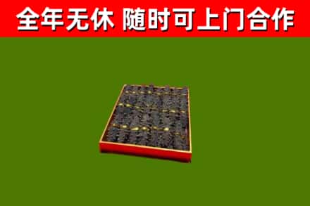 定陶区回收海参